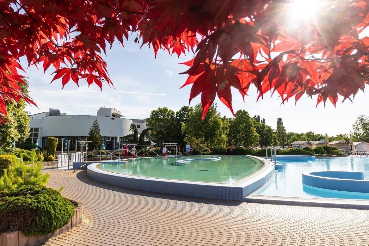 Dom Alex Pri Kupalisku Thermalpark Dunajská Streda Zewnętrze zdjęcie